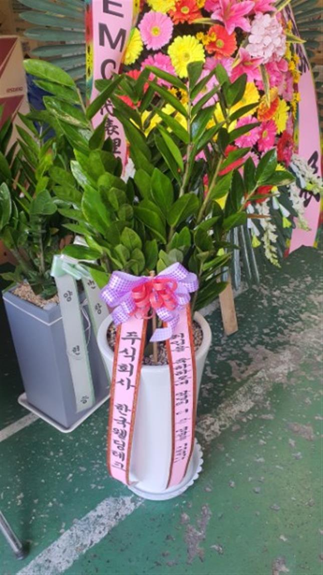 배송사진