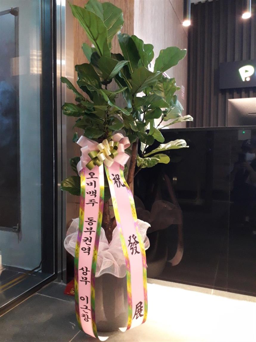 배송사진