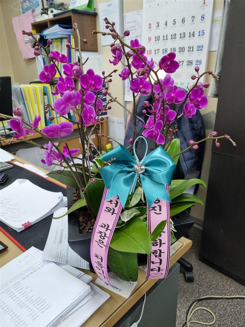 배송사진
