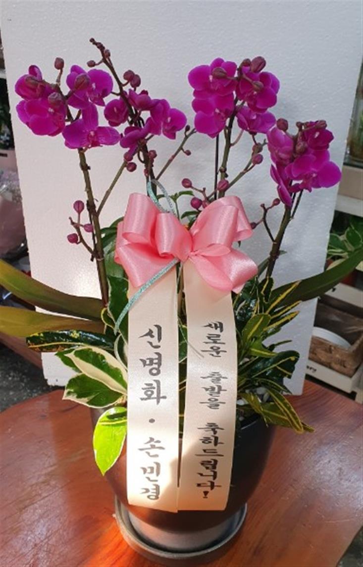 배송사진2