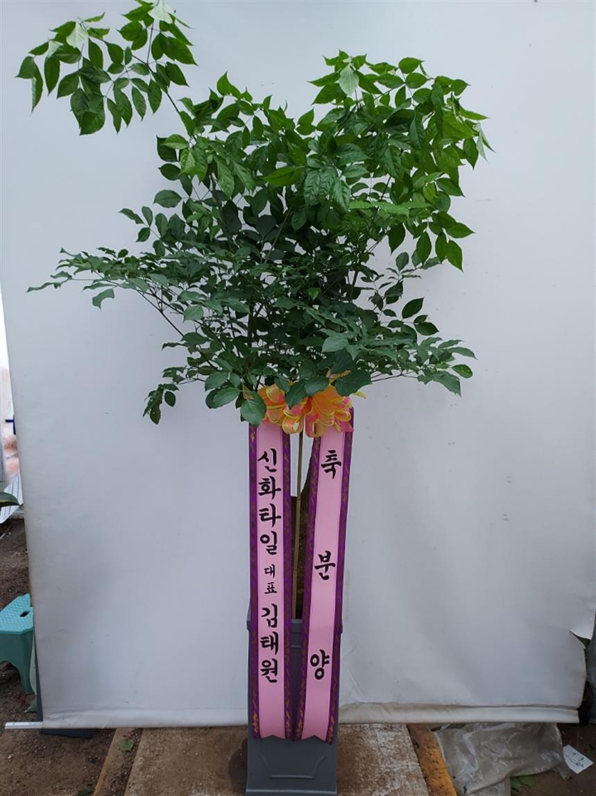 배송사진2