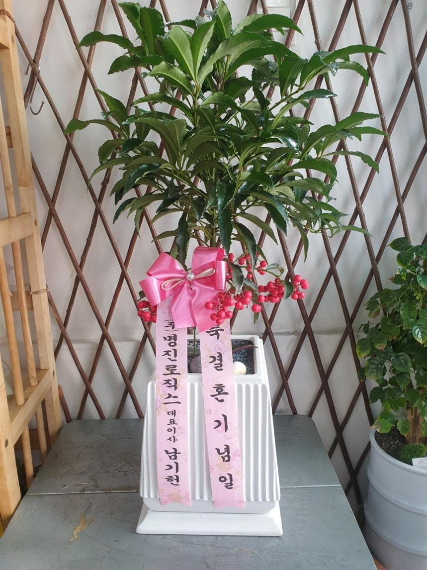 배송사진