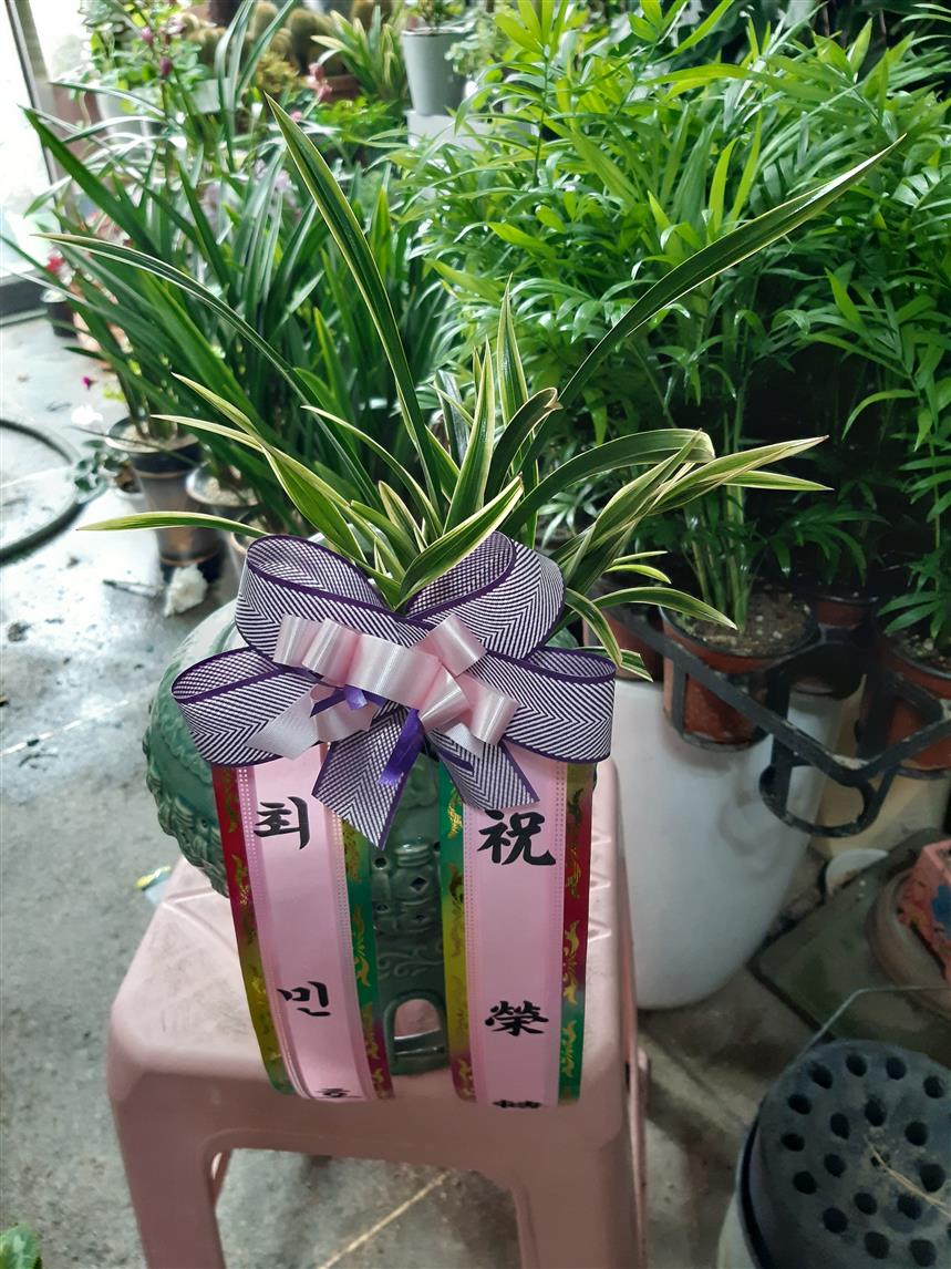 배송사진2