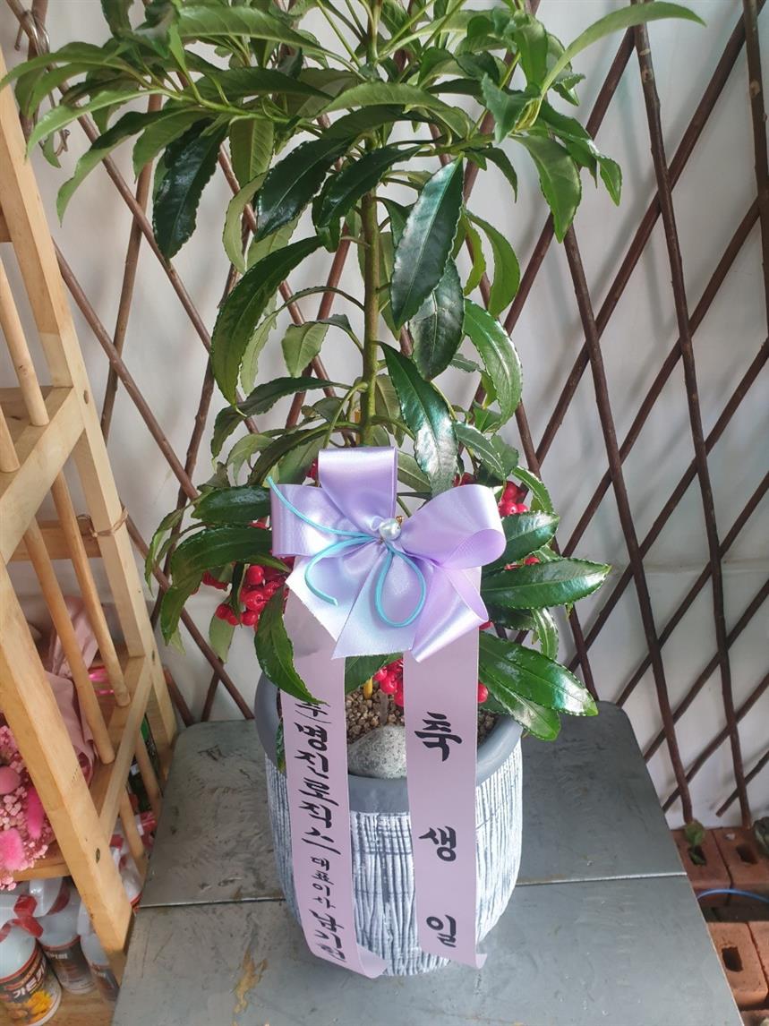 배송사진