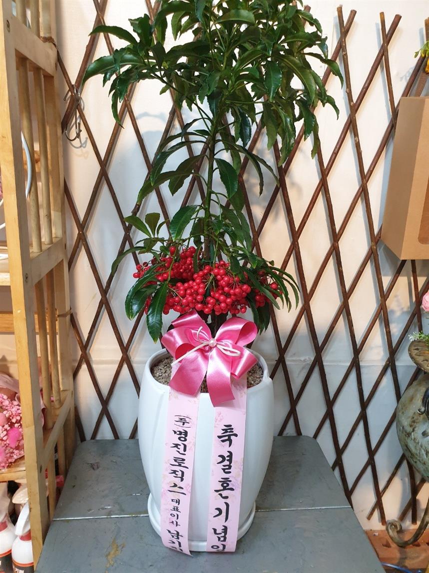 배송사진