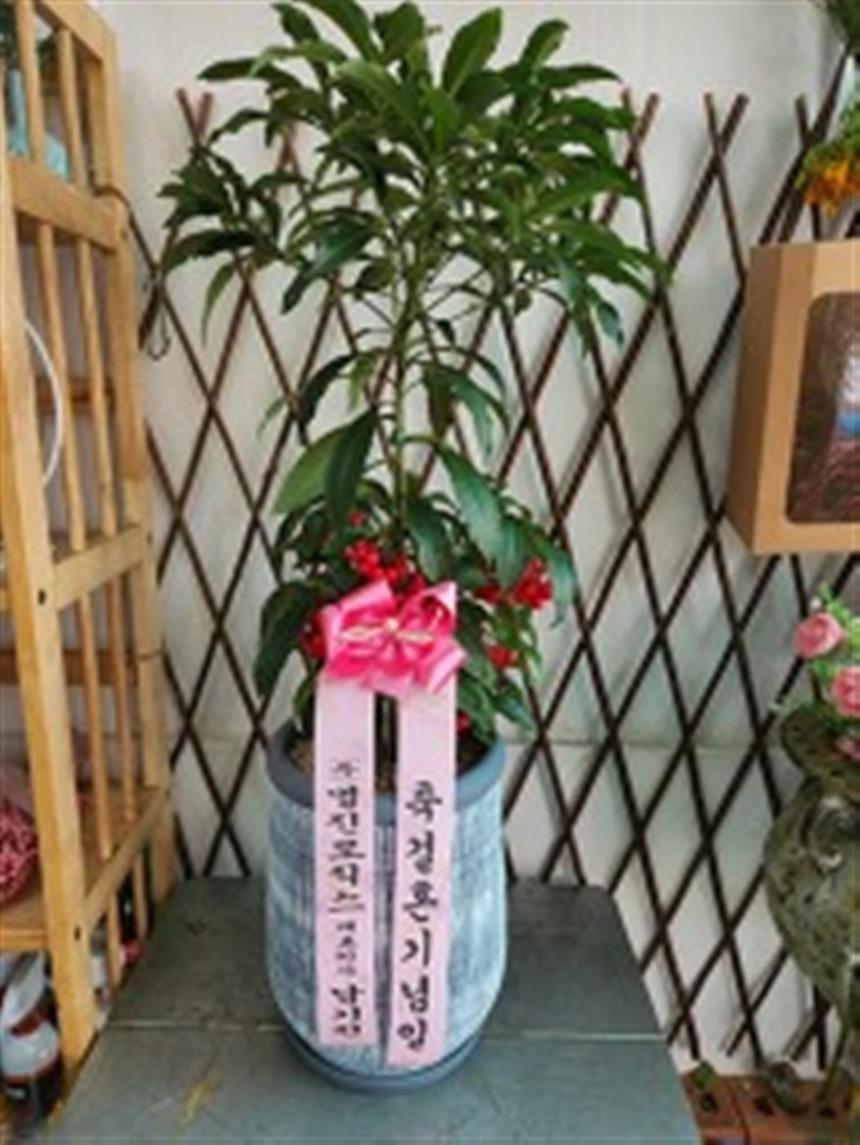 배송사진