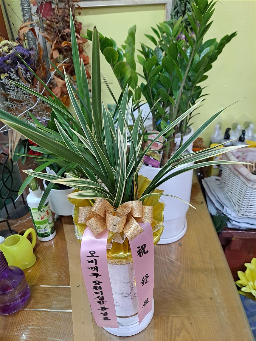 배송사진
