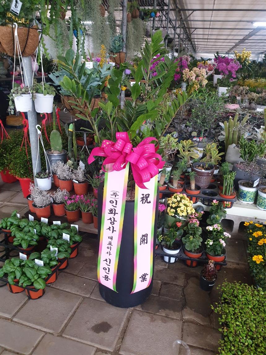 배송사진