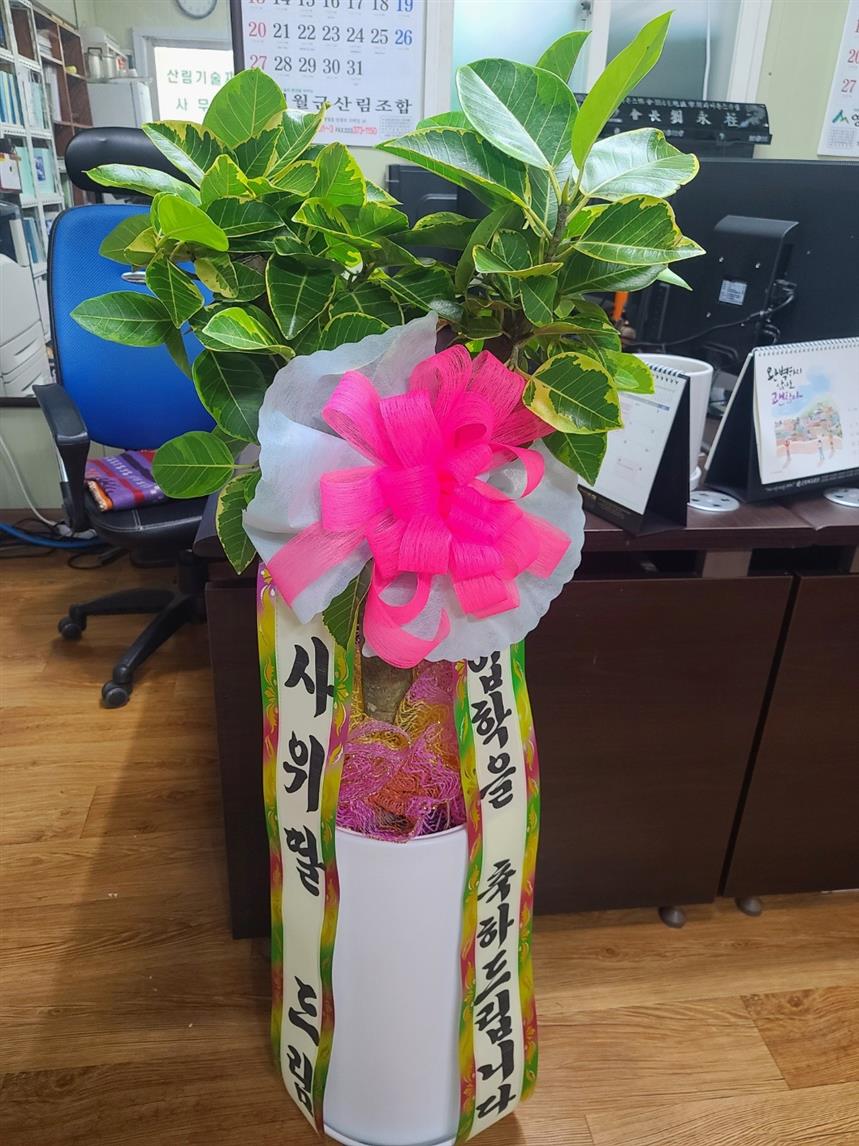 배송사진