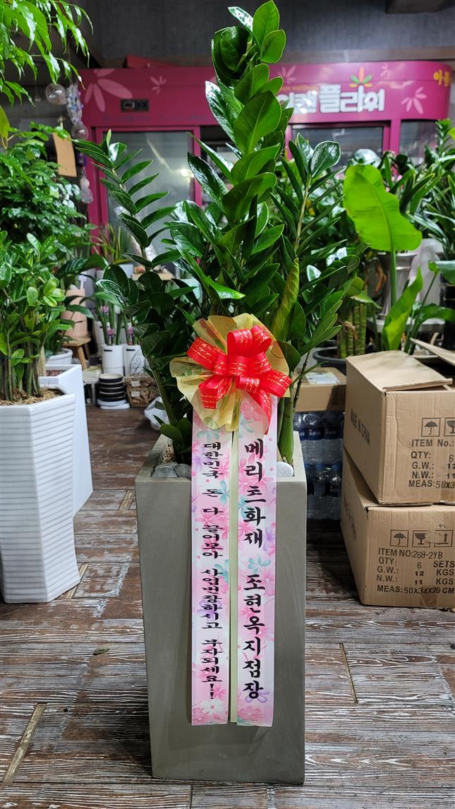 배송사진2