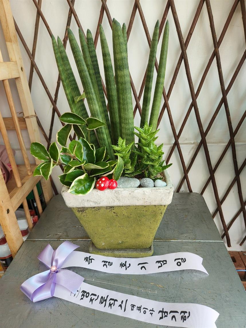 배송사진