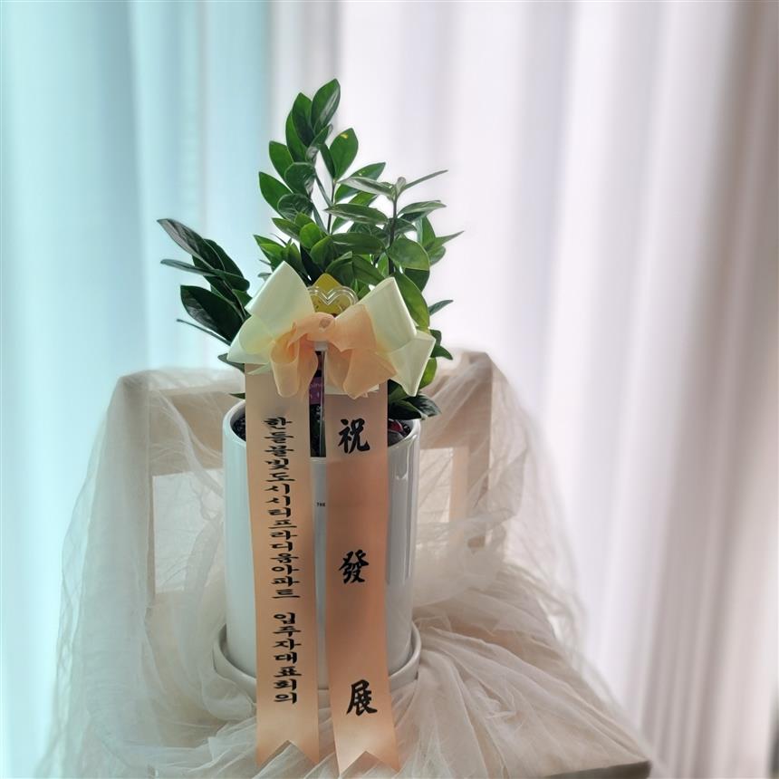 배송사진