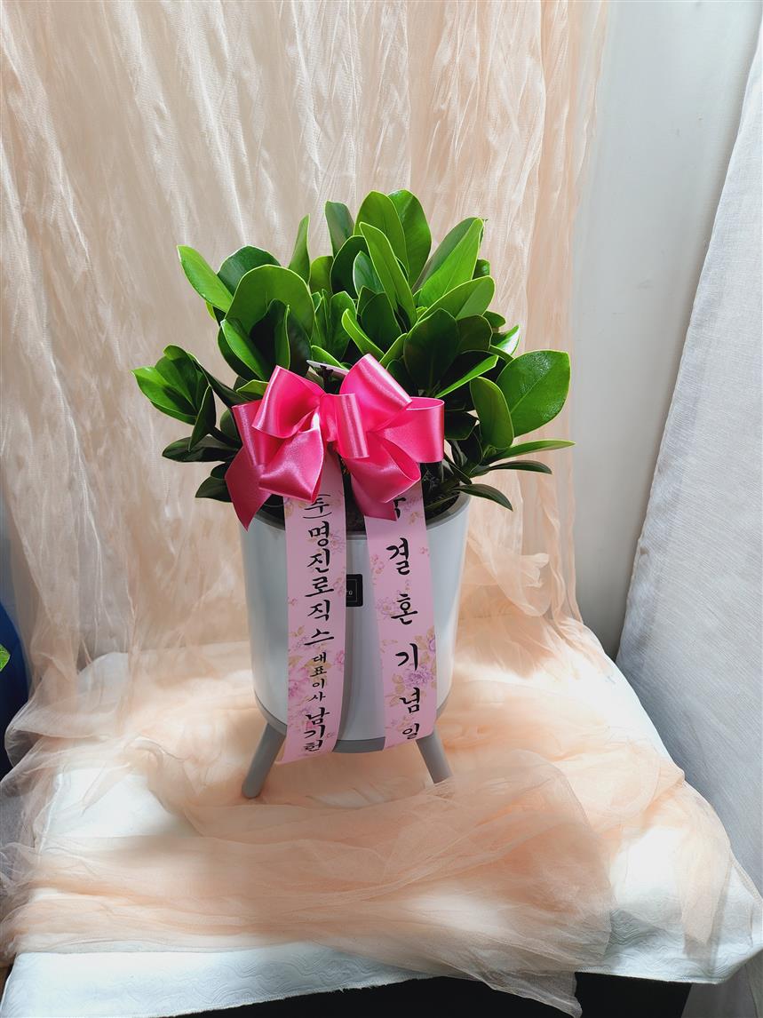 배송사진
