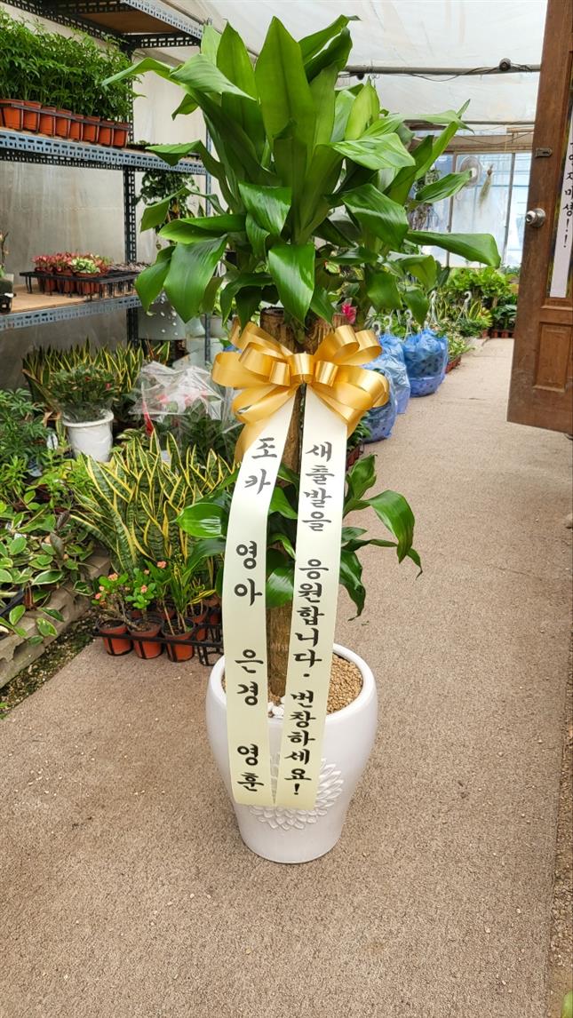 배송사진2