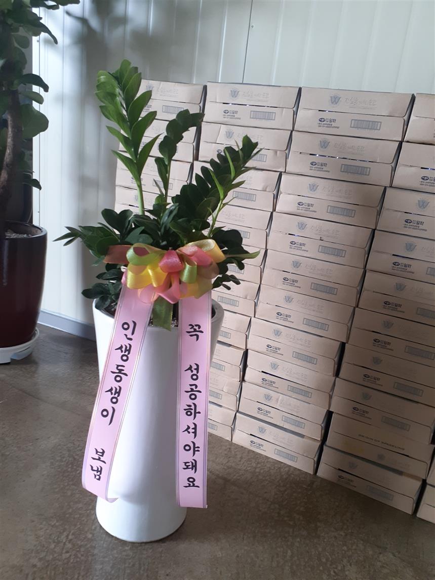 배송사진