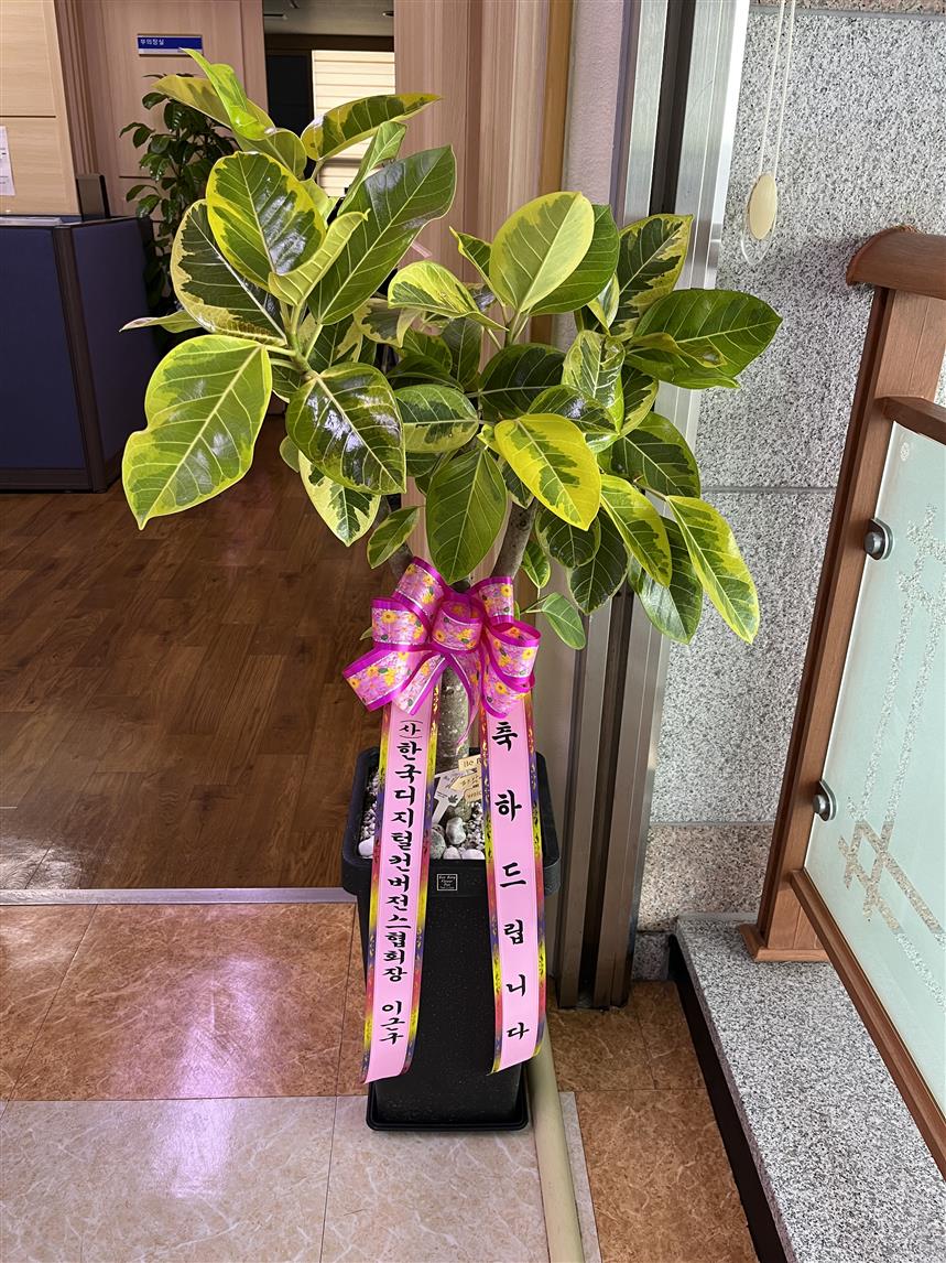 배송사진