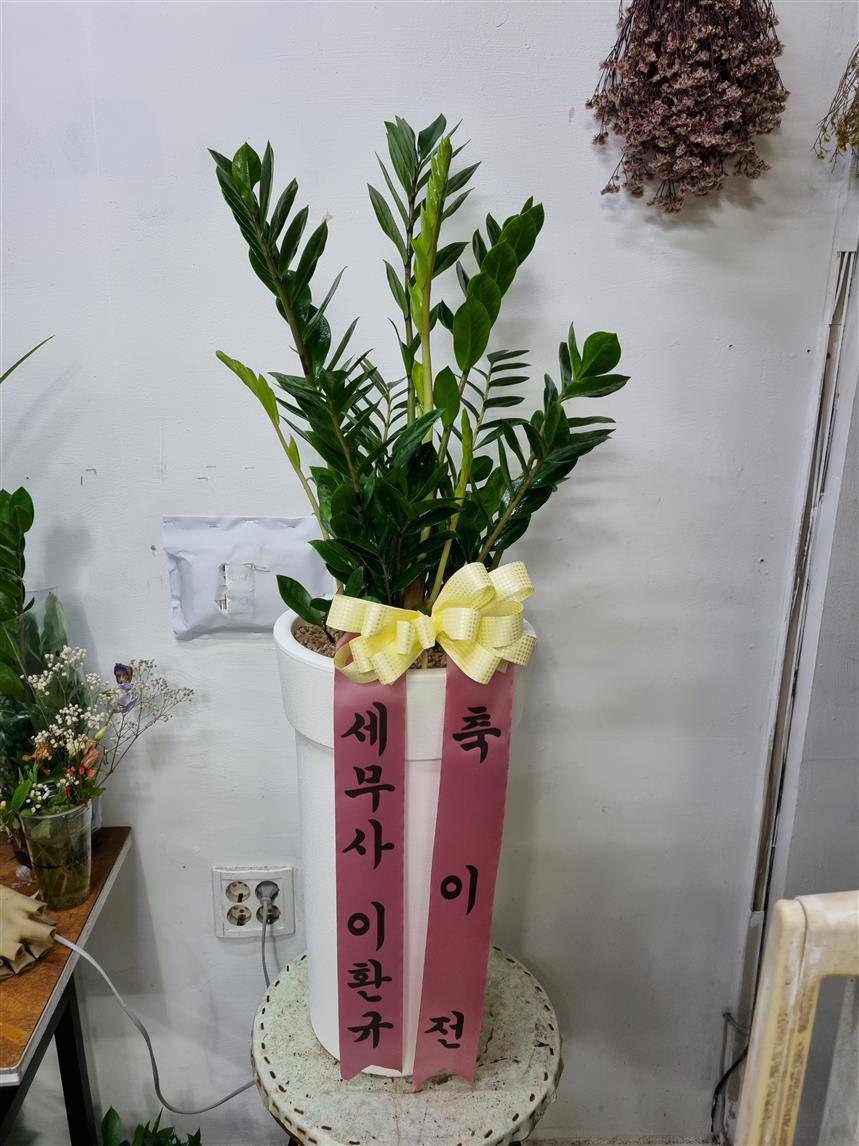 배송사진