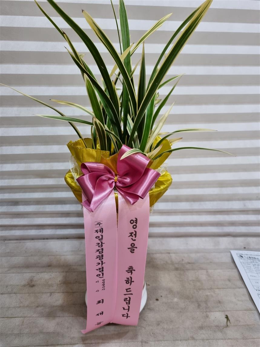 배송사진