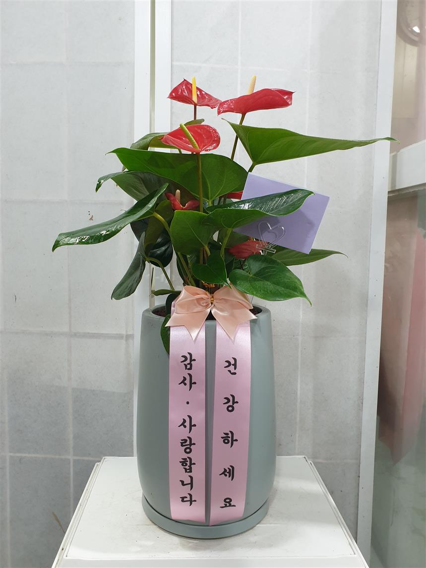 배송사진