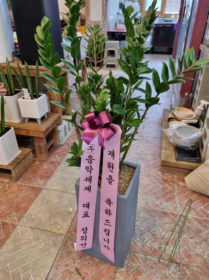 배송사진
