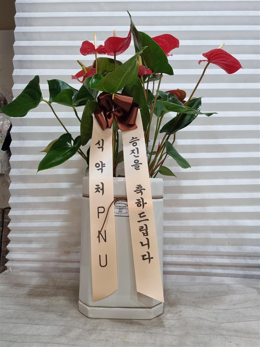 배송사진2