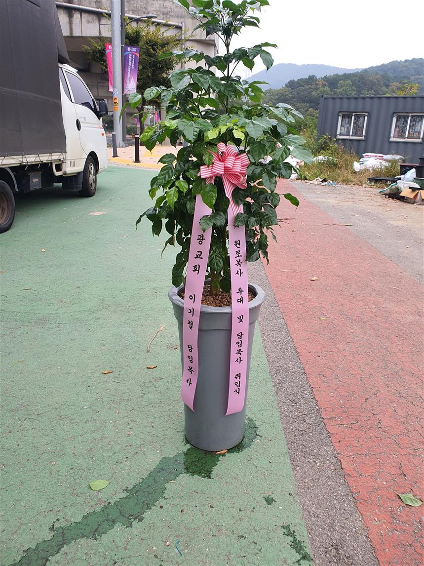 배송사진