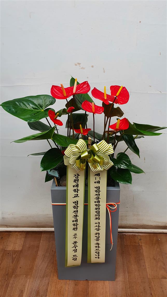 배송사진2