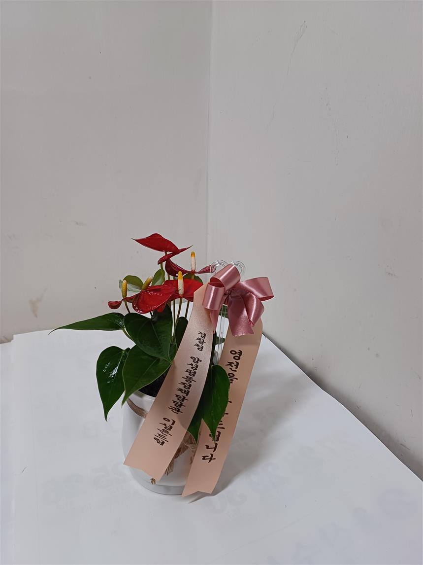 배송사진2