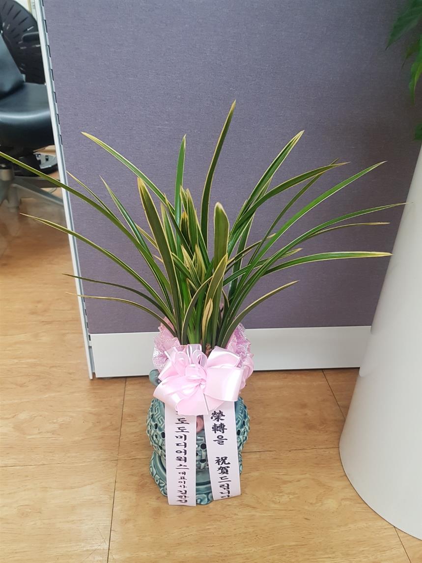 배송사진