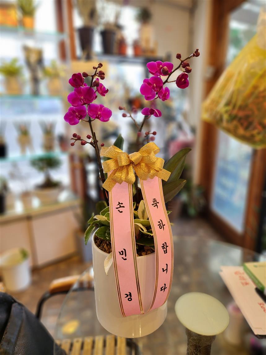 배송사진