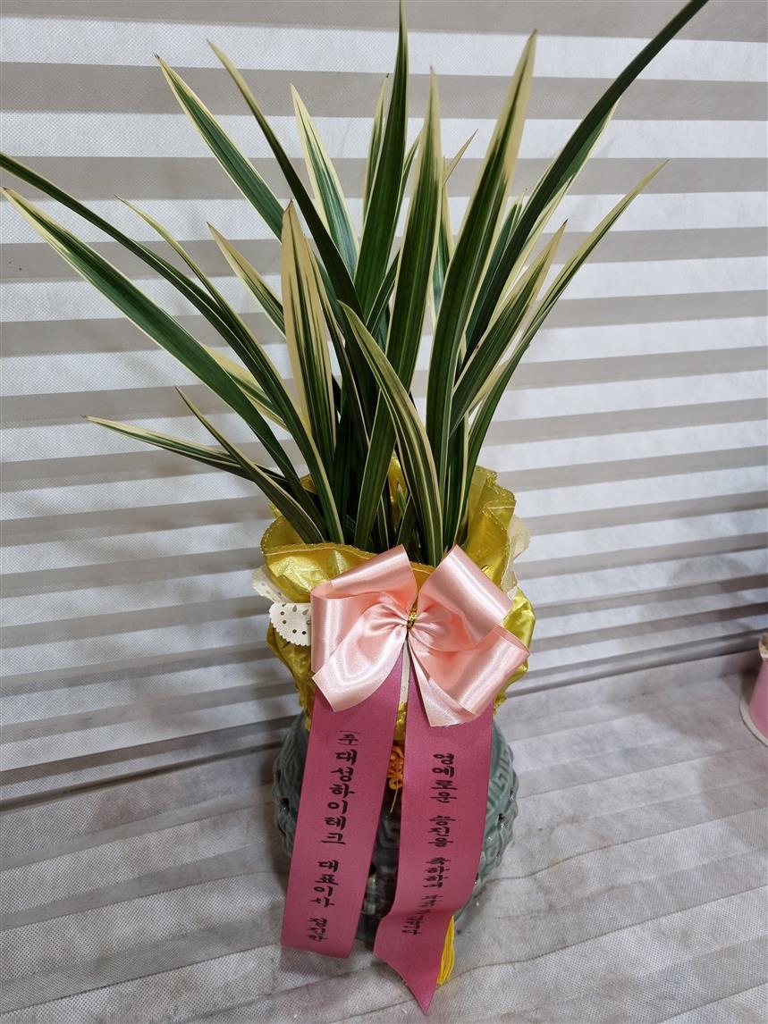 배송사진