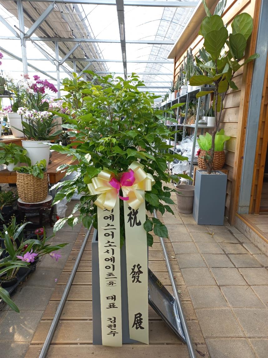 배송사진