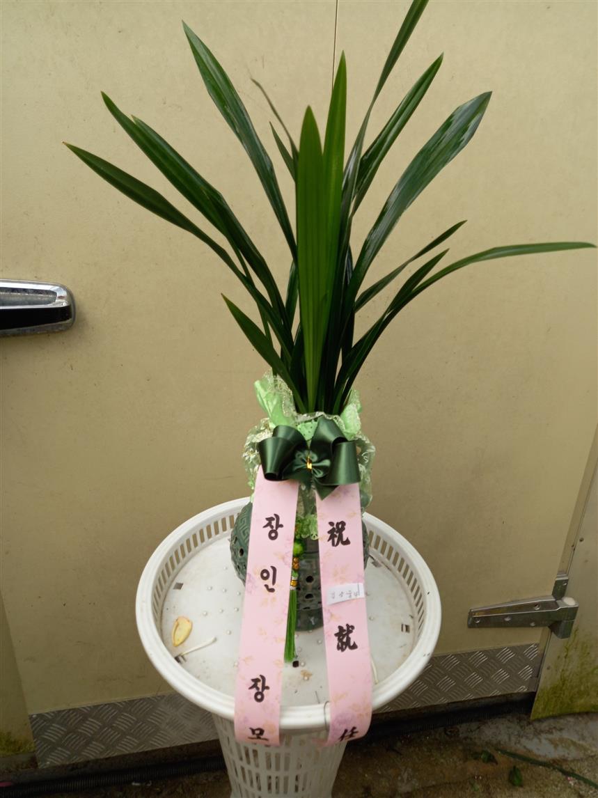 배송사진
