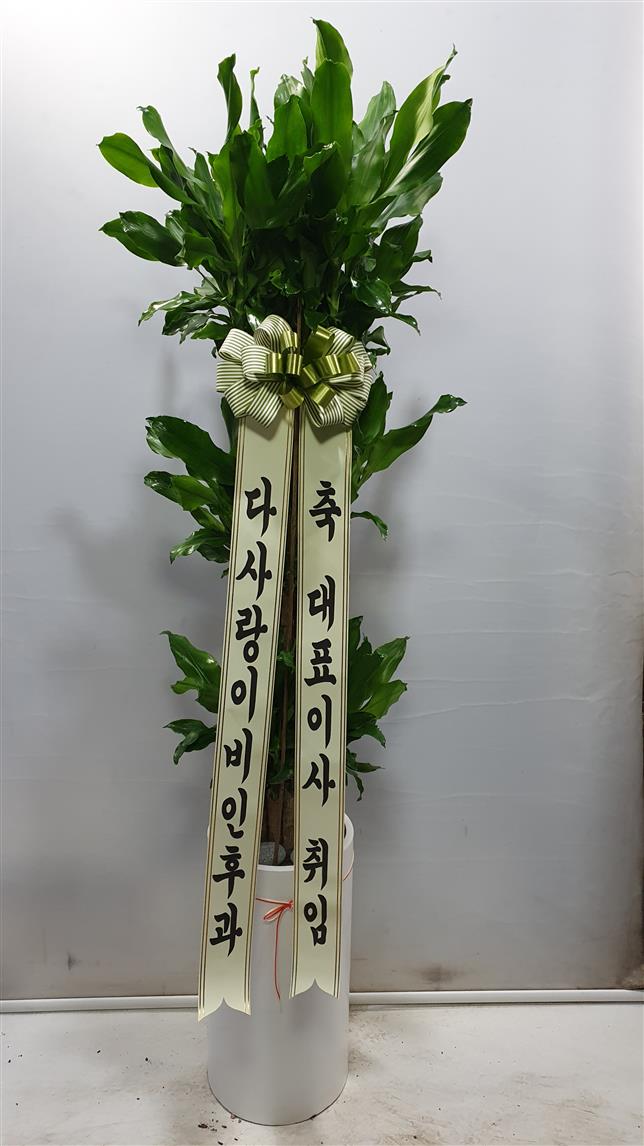 배송사진2