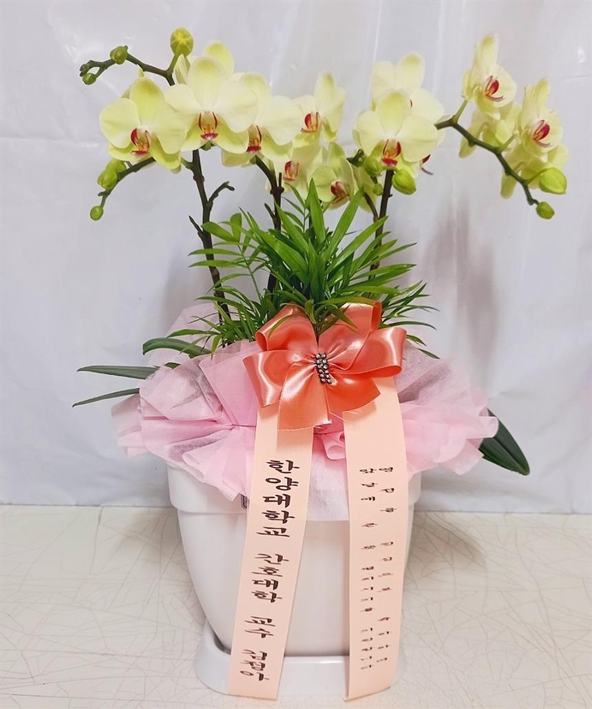 배송사진2