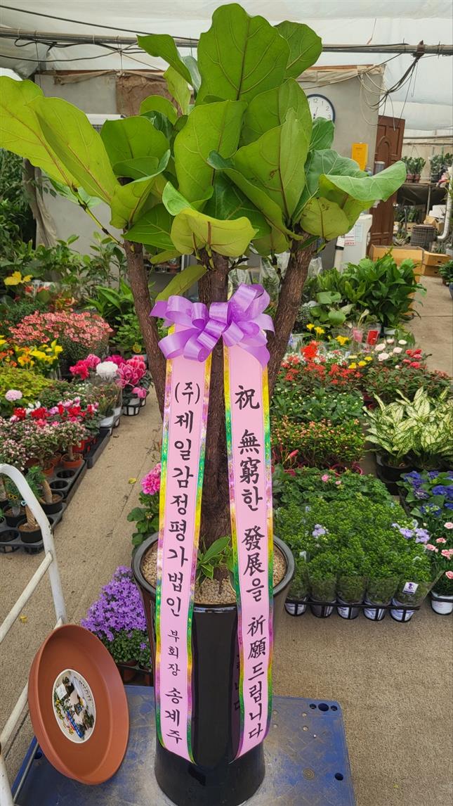 배송사진