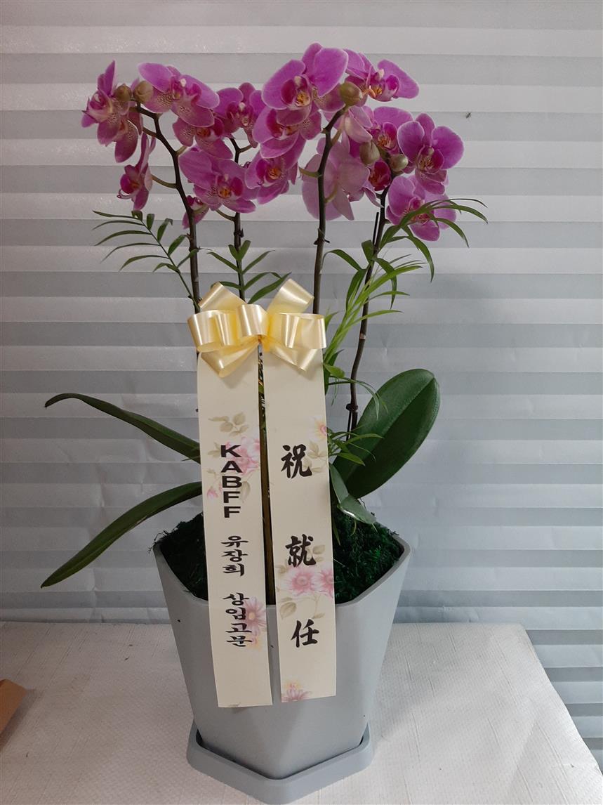 배송사진2