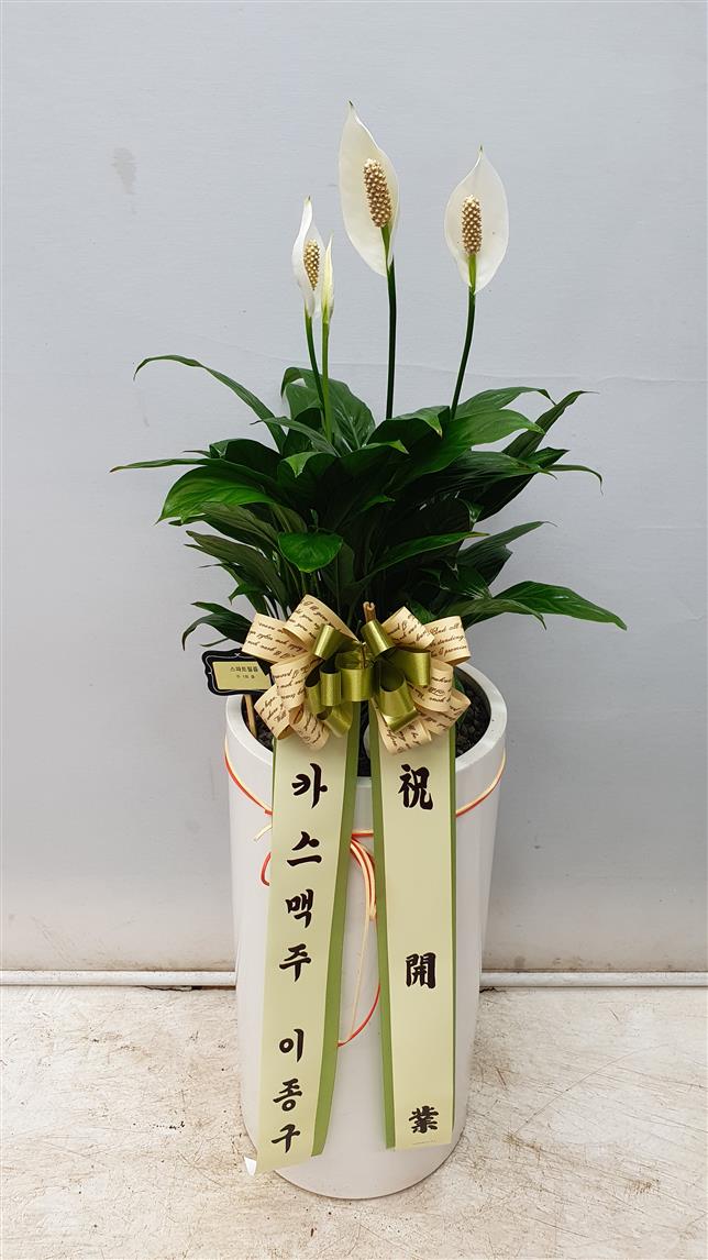 배송사진2
