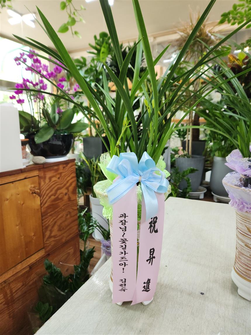 배송사진2