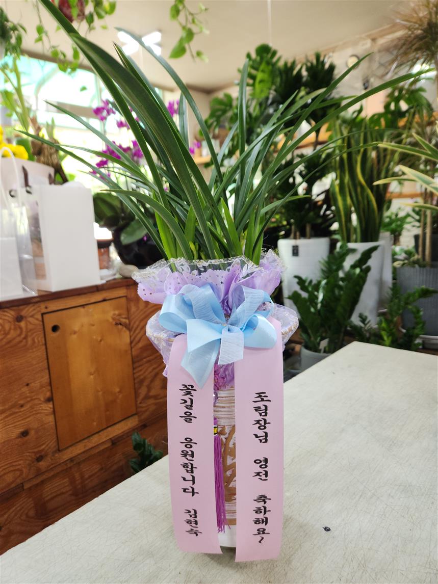 배송사진