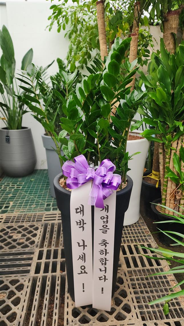 배송사진