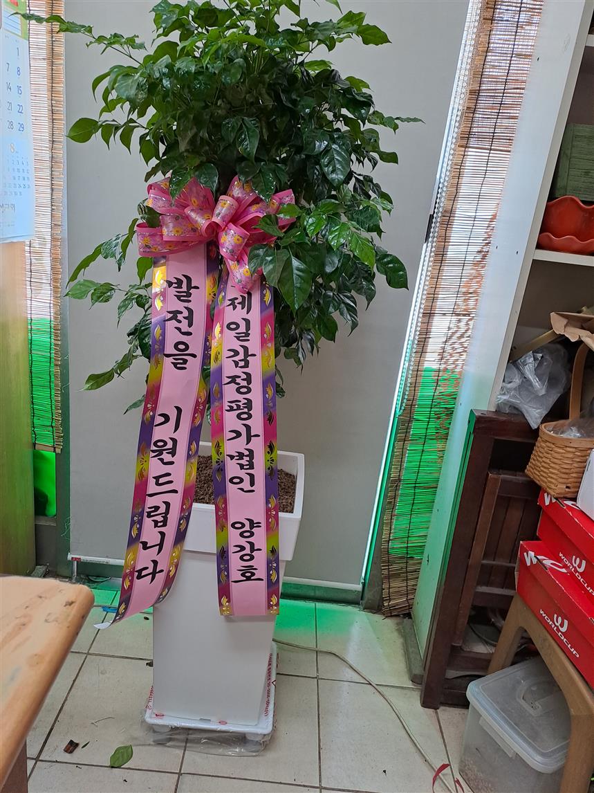 배송사진