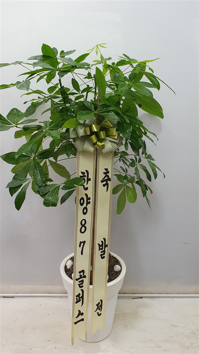 배송사진2