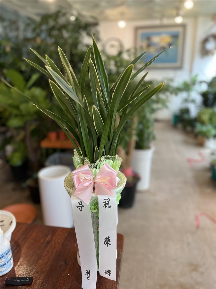 배송사진2