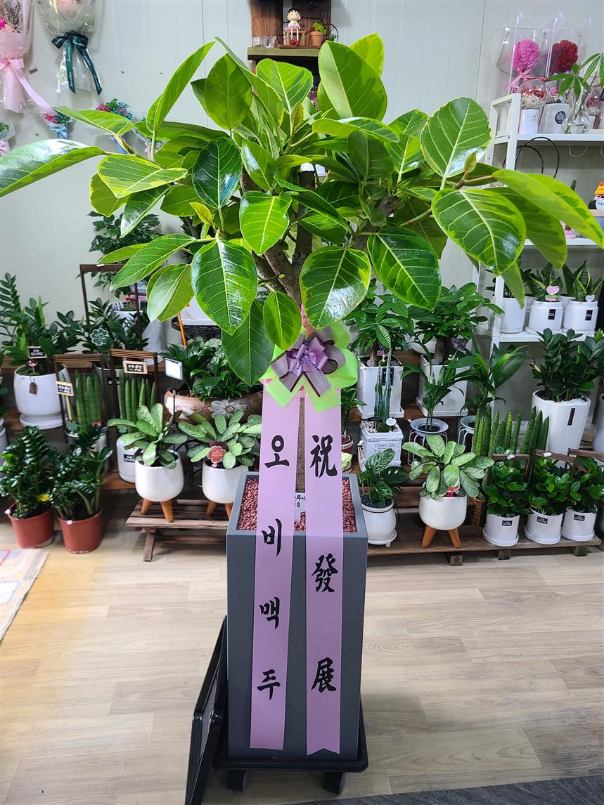 배송사진