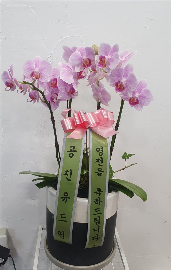 배송사진2