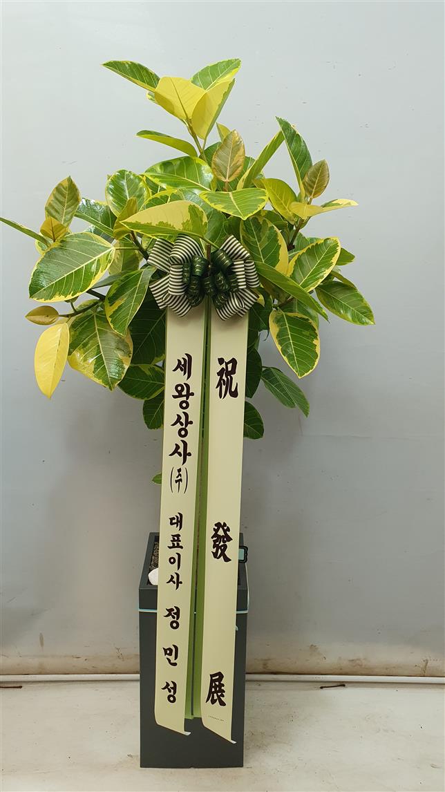 배송사진2