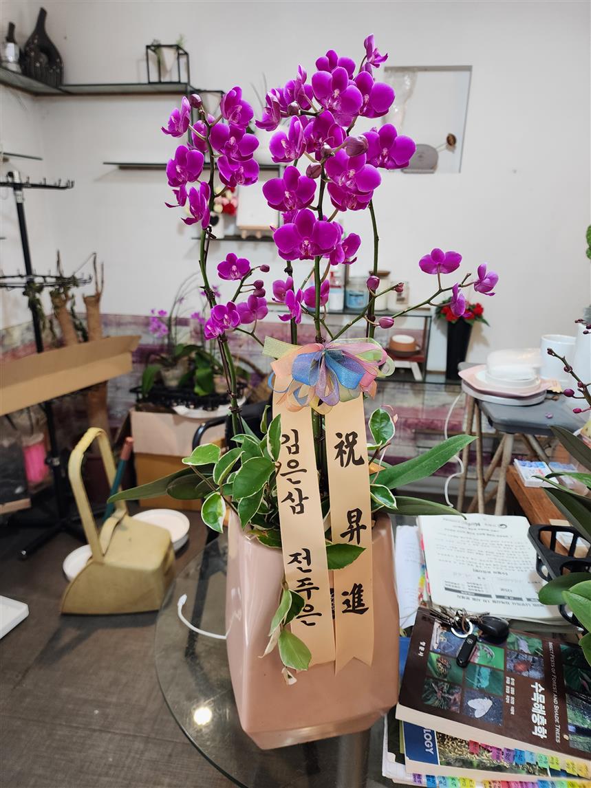 배송사진