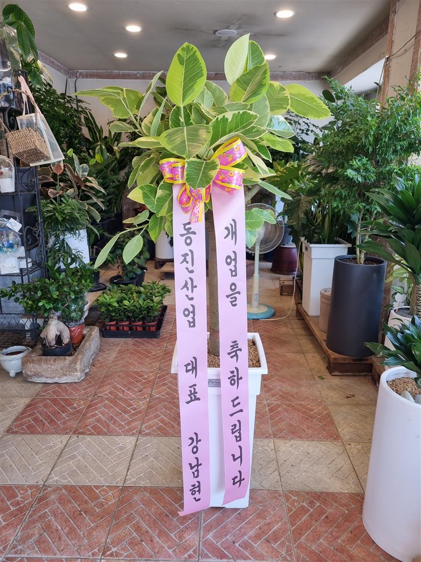 배송사진