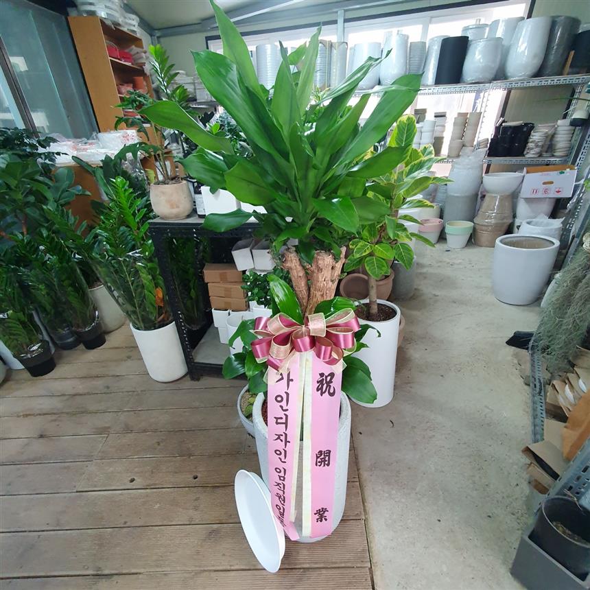배송사진